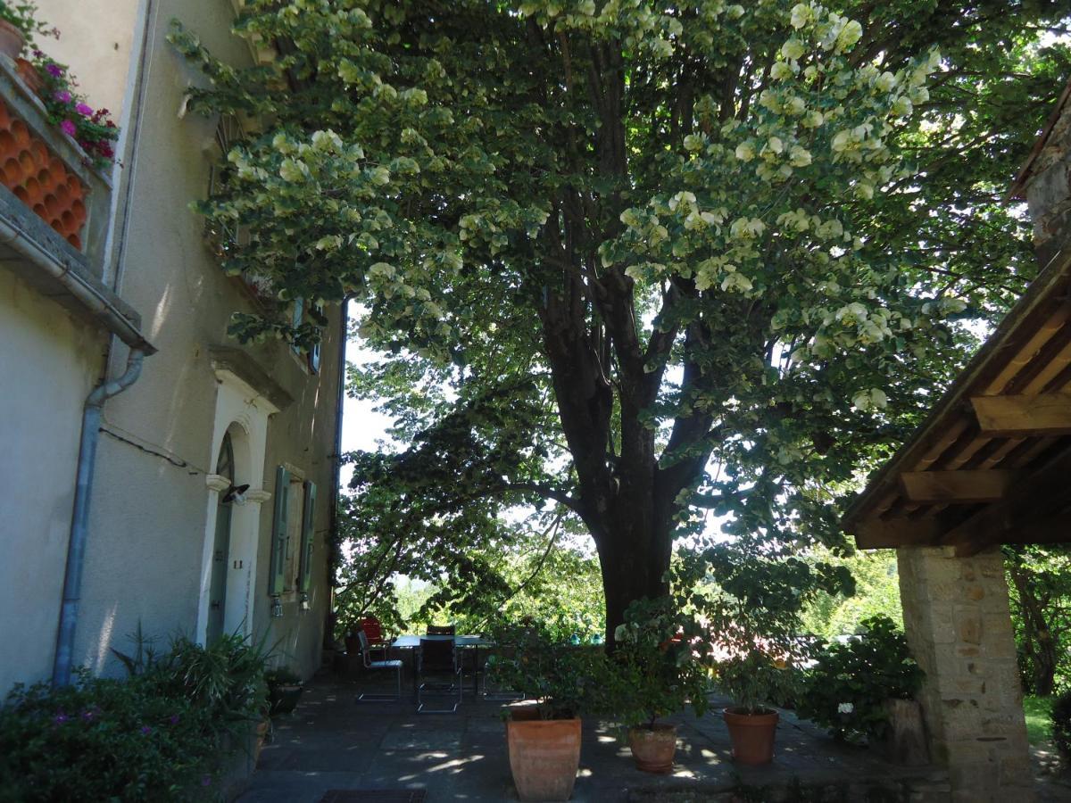 Le Vieux Tilleul Banne Kültér fotó